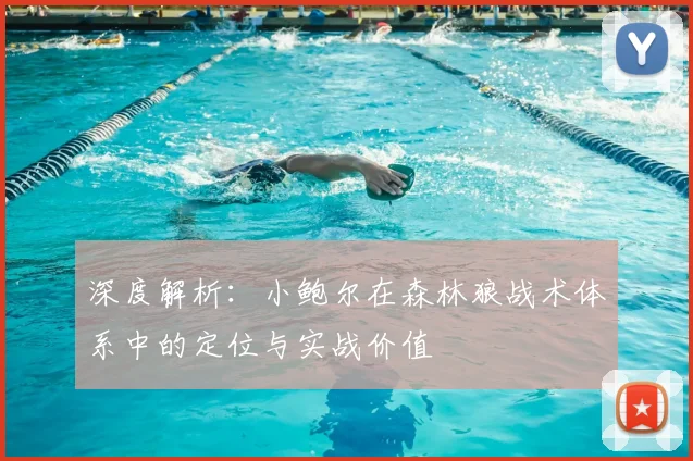 深度解析：小鲍尔在森林狼战术体系中的定位与实战价值