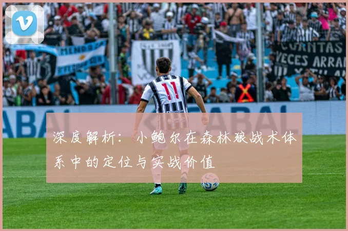 深度解析：小鲍尔在森林狼战术体系中的定位与实战价值